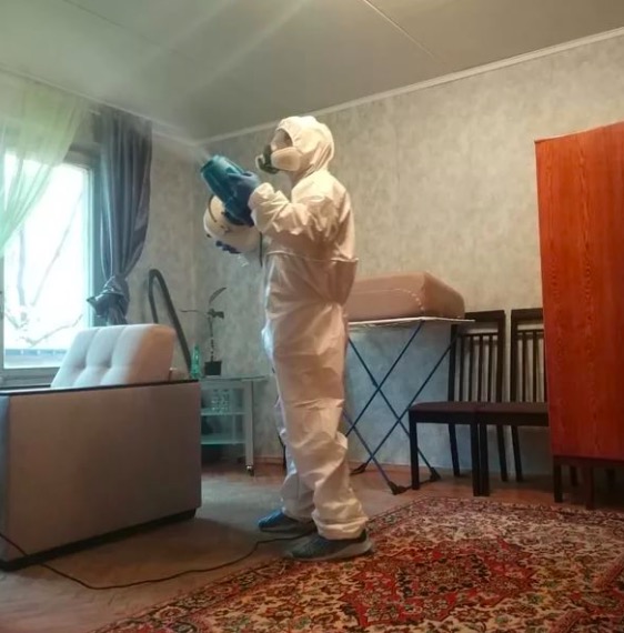 дезинсекция квартиры в Менделеевске